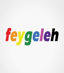 Feygeleh in Rainbow Colors Yiddish Israel Shirt