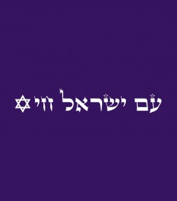 Vintage "Am Israel Chai" Hebrew Star of David Shirt