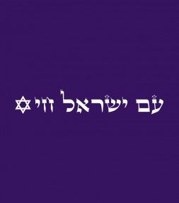 Vintage "Am Israel Chai" Hebrew Star of David Shirt