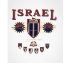 IDF Armor Corps Israel Shirt
