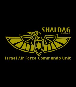 Israel Air Force Commandos Shirt