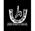Vintage Hebrew University Israel Shirt
