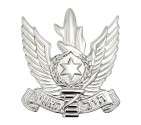 Israel Army Air Force Hebrew Badge