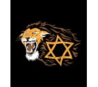 Israel Lion of Judah Star of David Shirt