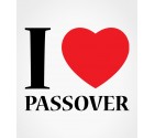 I Love Passover Jewish Holiday Shirt