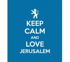 Keep Calm and Love Jerusalem Lion of Judah Shirt