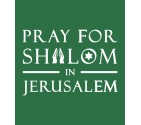 Pray for Shalom in Jerusalem Star of David Shirt