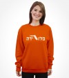 Florida State Hebrew